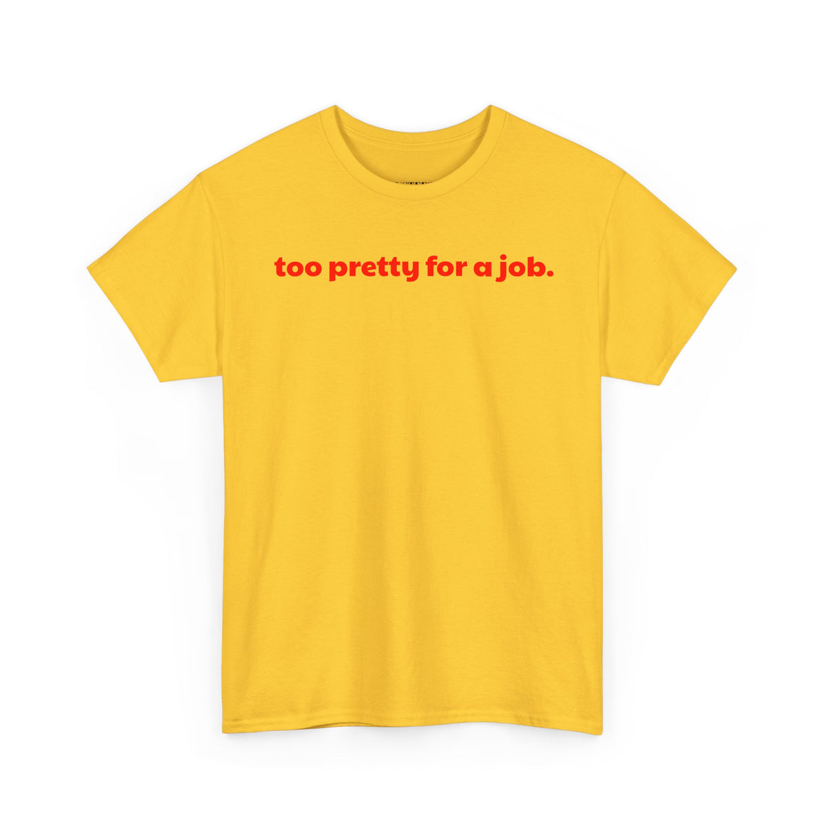 Too Pretty For A Job T-Shirt